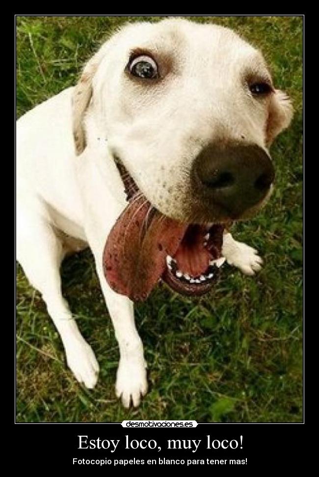 Estoy loco, muy loco! -