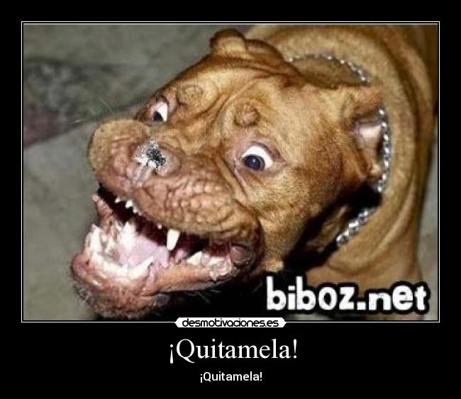 ¡Quitamela! - 