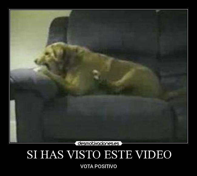 SI HAS VISTO ESTE VIDEO - 