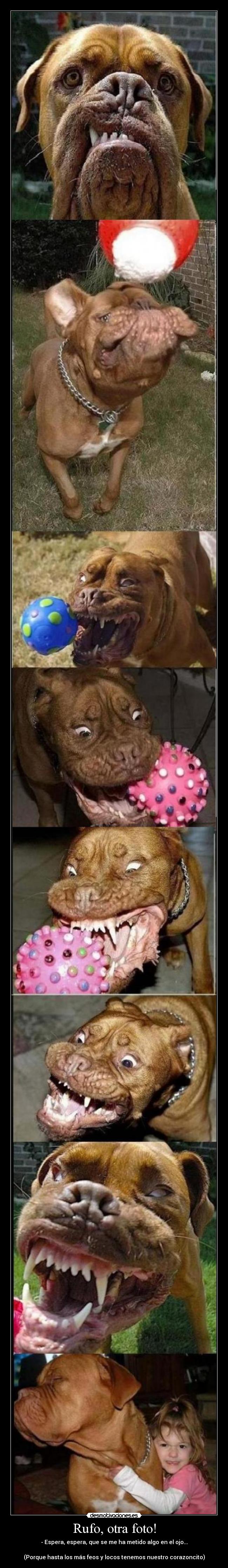 Rufo, otra foto! - - Espera, espera, que se me ha metido algo en el ojo...

(Porque hasta los más feos y locos tenemos nuestro corazoncito)