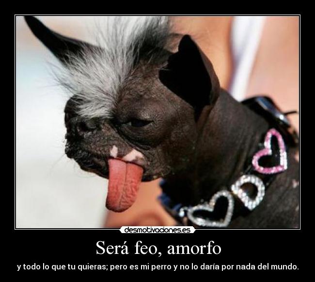 Será feo, amorfo - y todo lo que tu quieras; pero es mi perro y no lo daría por nada del mundo.