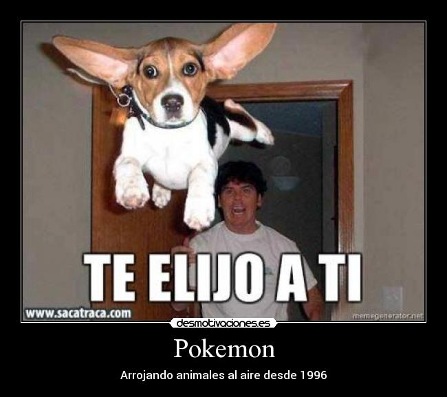 Pokemon - Arrojando animales al aire desde 1996