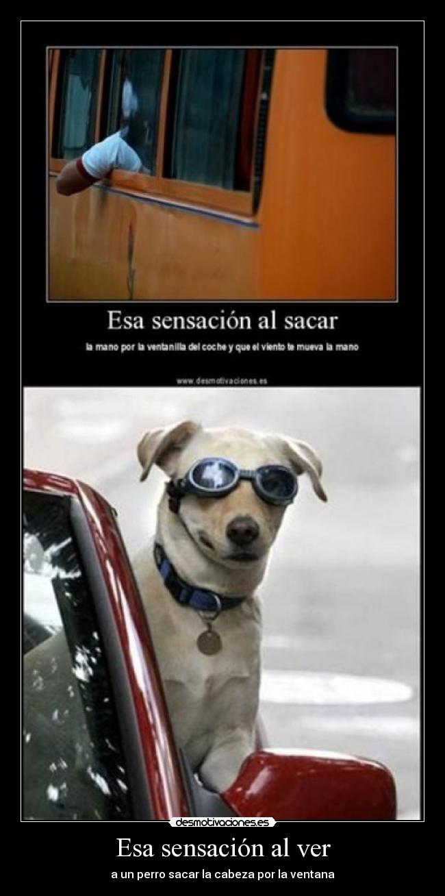 Esa sensación al ver - 