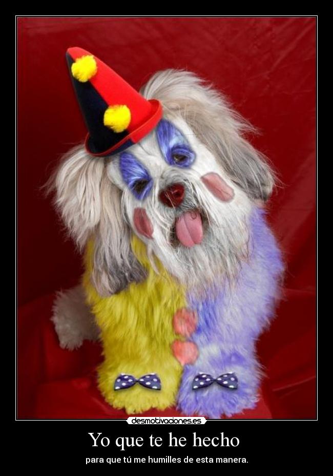 Yo que te he hecho -