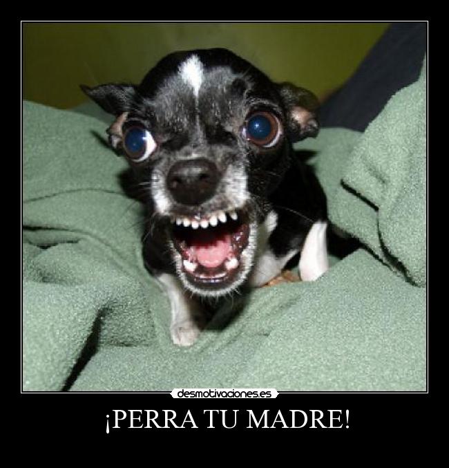 ¡PERRA TU MADRE! - 