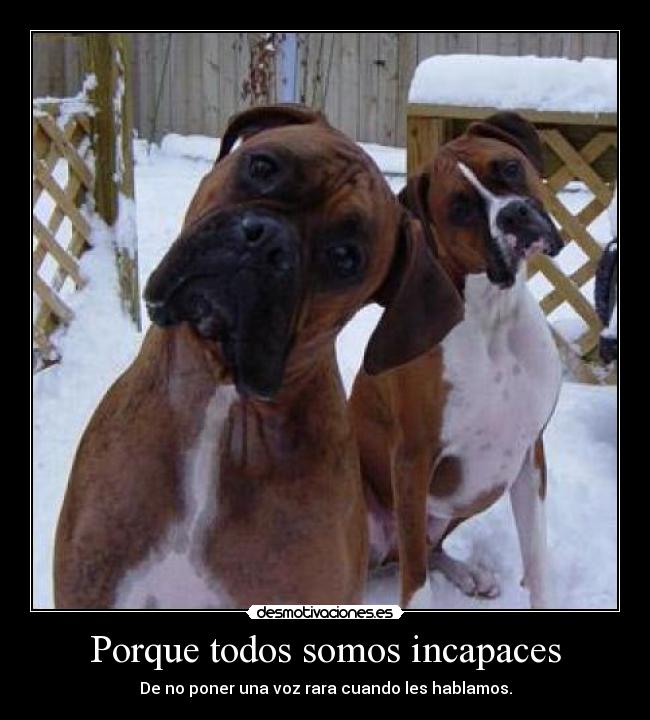 Porque todos somos incapaces -