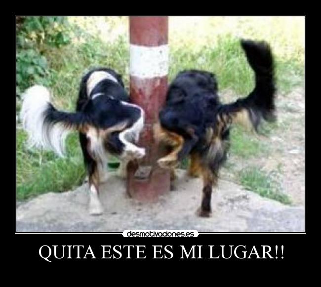 QUITA ESTE ES MI LUGAR!! -