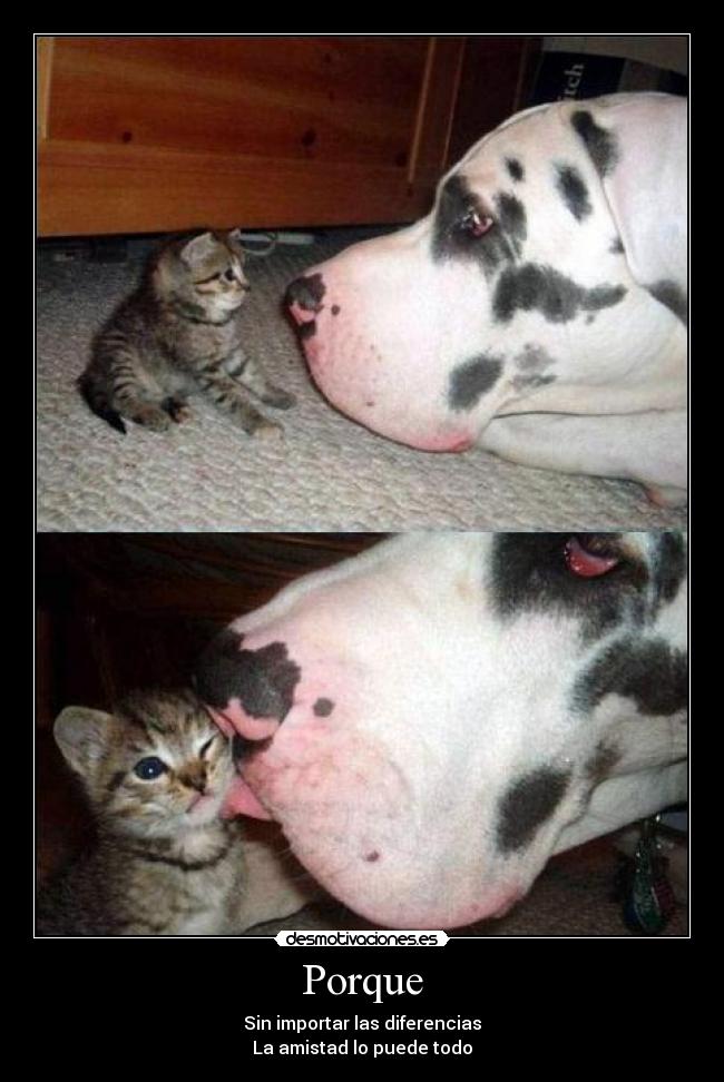 Porque - Sin importar las diferencias
La amistad lo puede todo