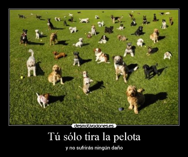 Tú sólo tira la pelota -