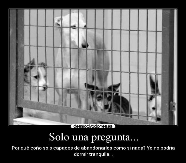 Solo una pregunta... - Por qué coño sois capaces de abandonarlos como si nada? Yo no podria
dormir tranquila...