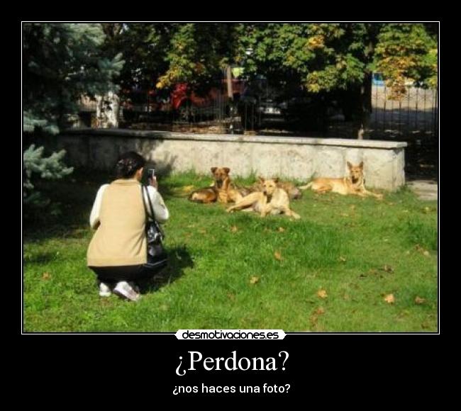 ¿Perdona? - 