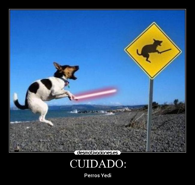 CUIDADO: - Perros Yedi