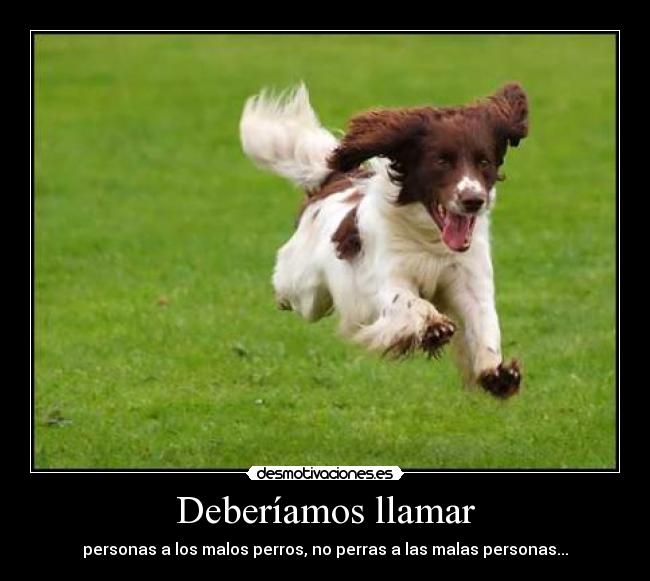 Deberíamos llamar - personas a los malos perros, no perras a las malas personas...