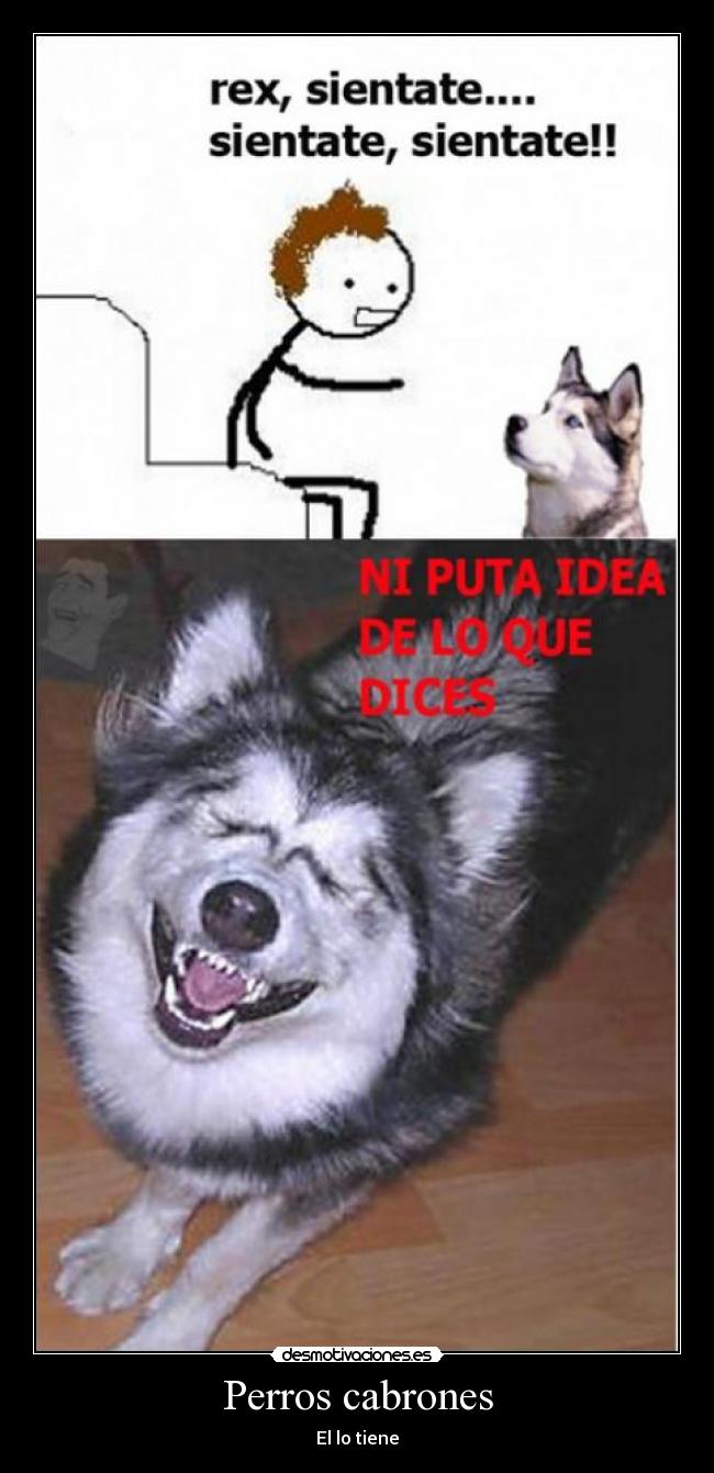 Perros cabrones -
