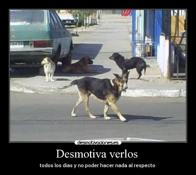 Desmotiva verlos - todos los dias y no poder hacer nada al respecto