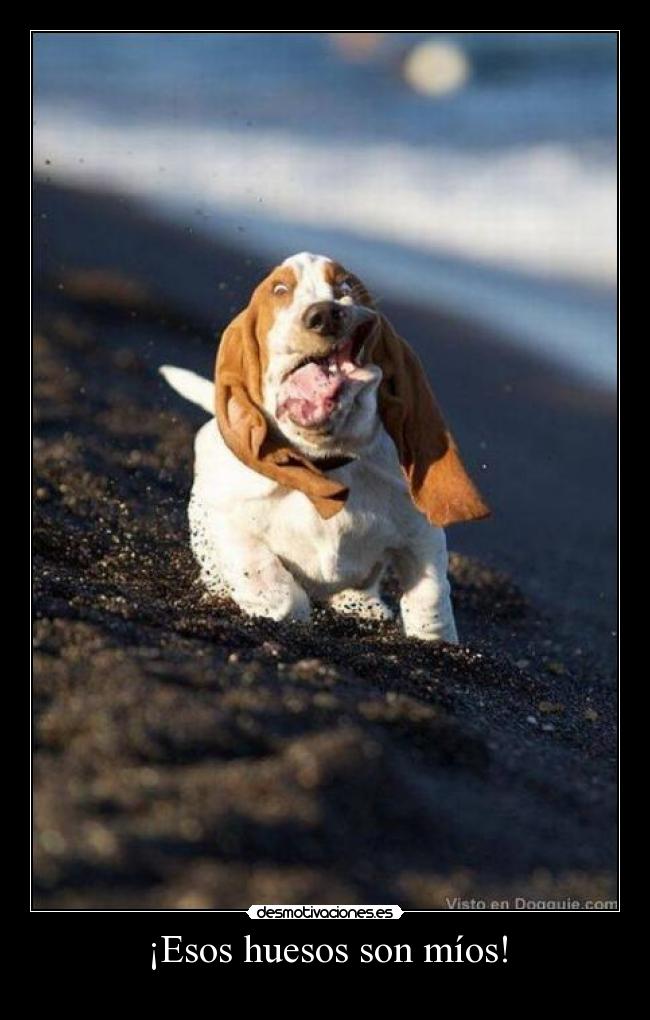 ¡Esos huesos son míos! - 
