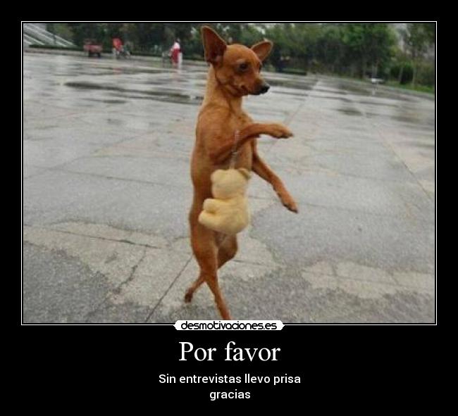 Por favor - Sin entrevistas llevo prisa
gracias