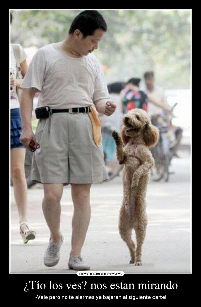  ¿Tío los ves? nos estan mirando  - -Vale pero no te alarmes ya bajaran al siguiente cartel