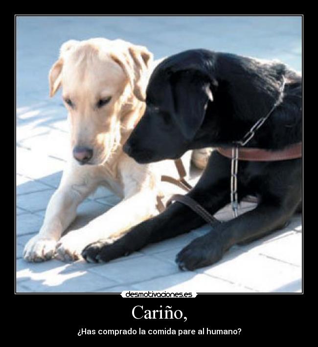 Cariño, - 
