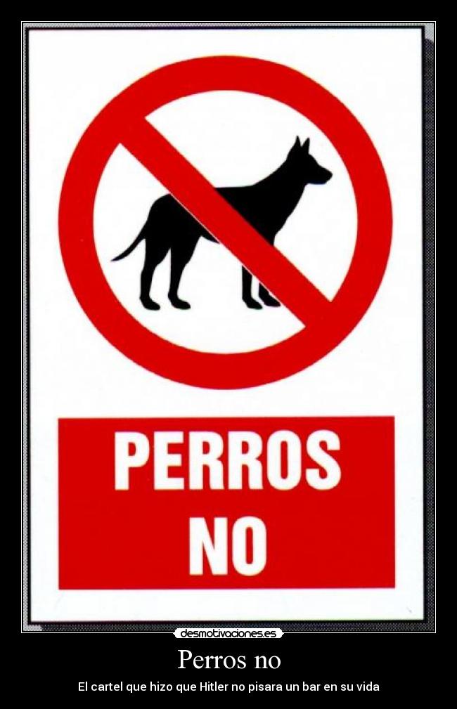 Perros no - 