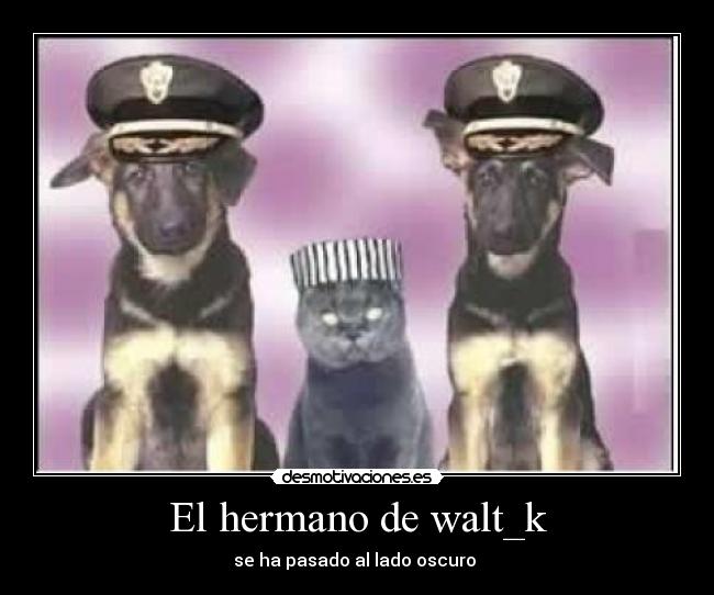 El hermano de walt_k - 