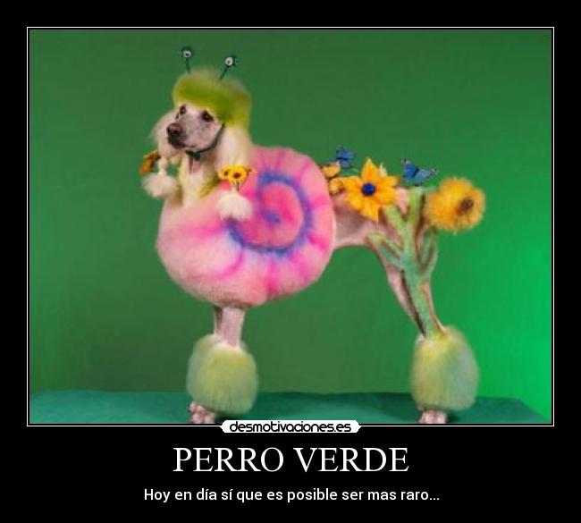 PERRO VERDE -