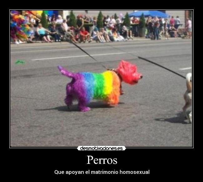 Perros -