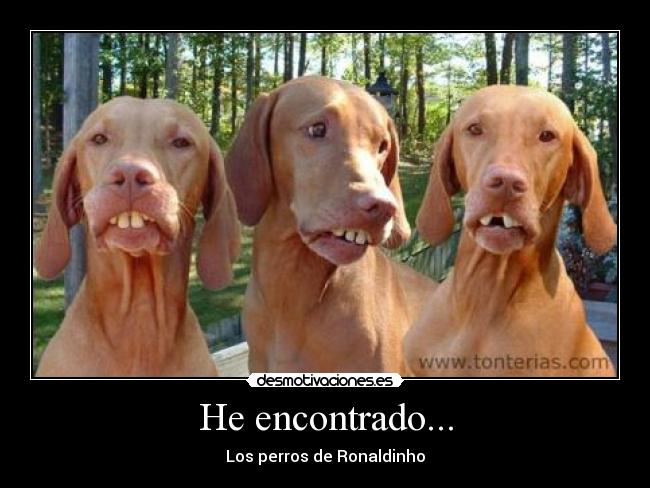 He encontrado... -