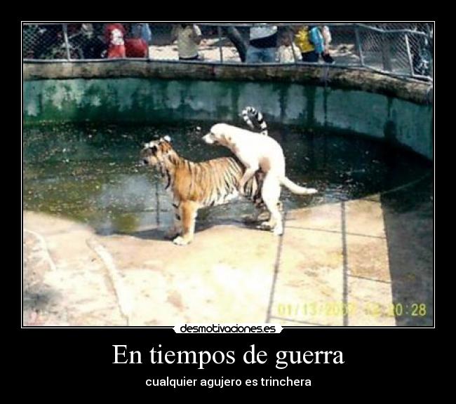 En tiempos de guerra -