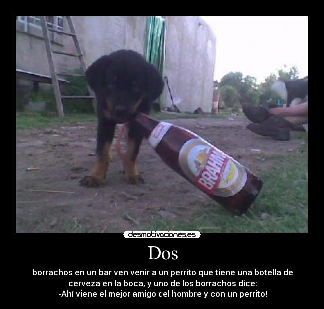Dos - borrachos en un bar ven venir a un perrito que tiene una botella de
cerveza en la boca, y uno de los borrachos dice:
-Ahí viene el mejor amigo del hombre y con un perrito!