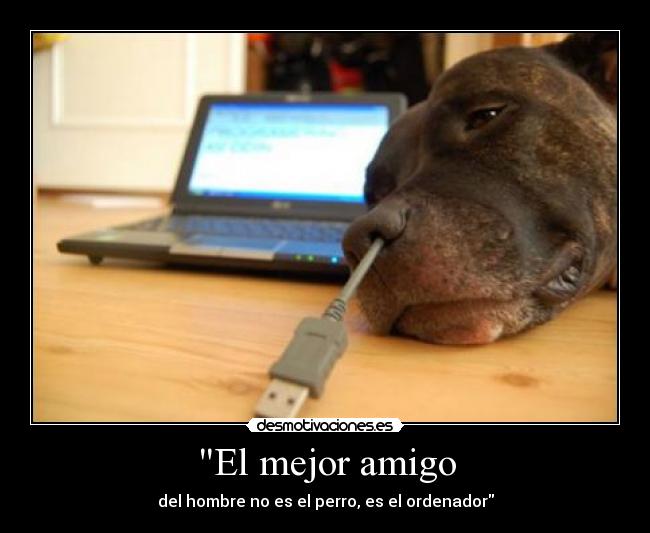 El mejor amigo - del hombre no es el perro, es el ordenador