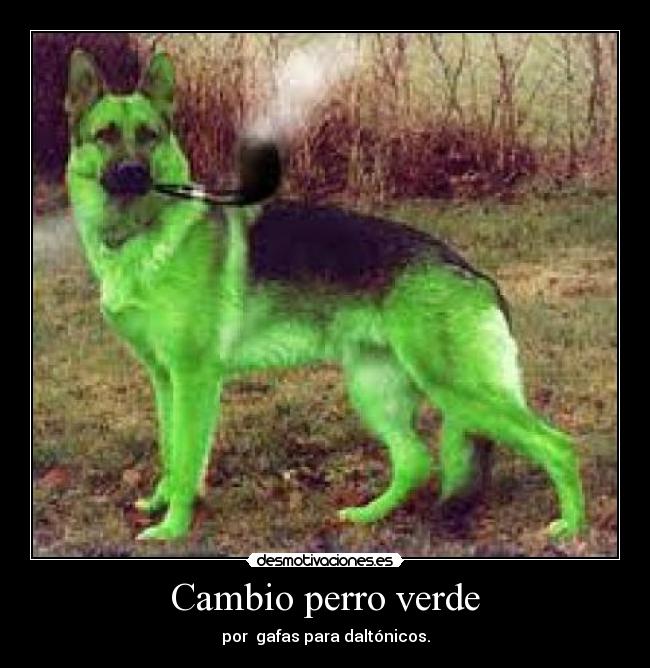 Cambio perro verde - 