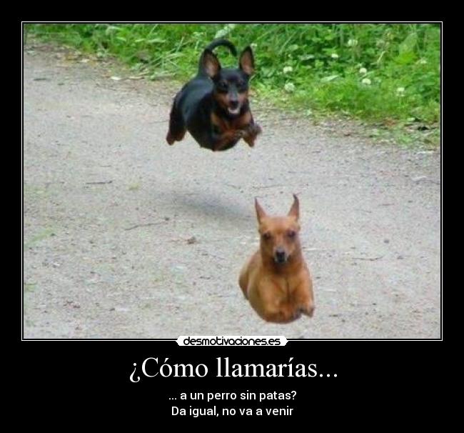 ¿Cómo llamarías... -