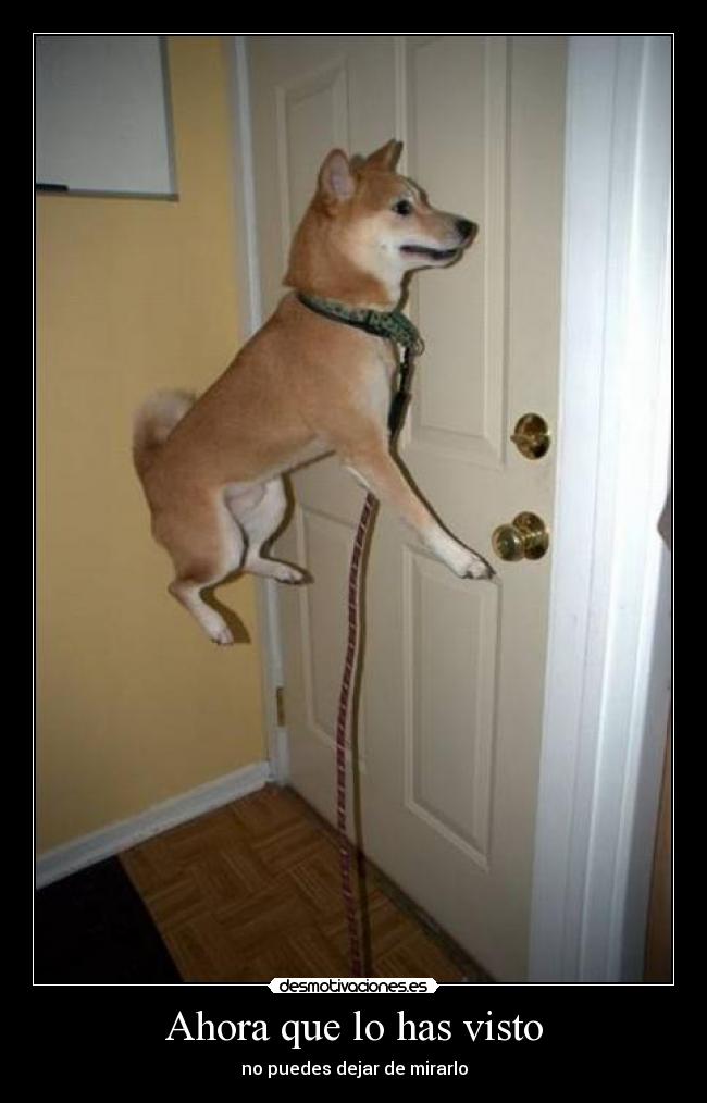 Ahora que lo has visto -