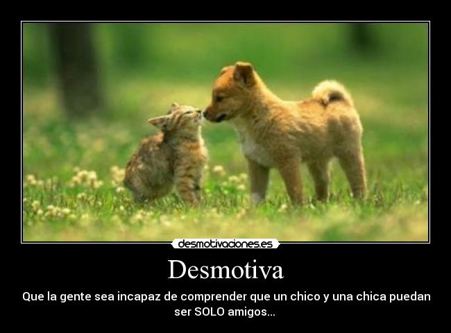 Desmotiva - Que la gente sea incapaz de comprender que un chico y una chica puedan
ser SOLO amigos... 