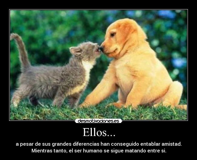 Ellos... - 