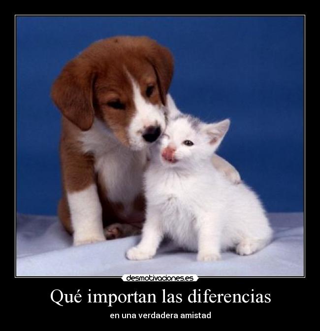 Qué importan las diferencias - en una verdadera amistad