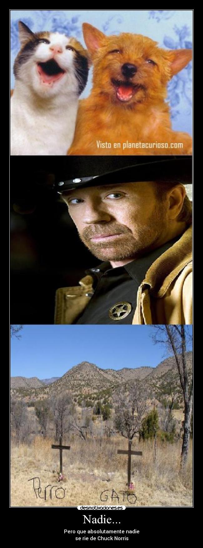 Nadie... - Pero que absolutamente nadie
se rie de Chuck Norris