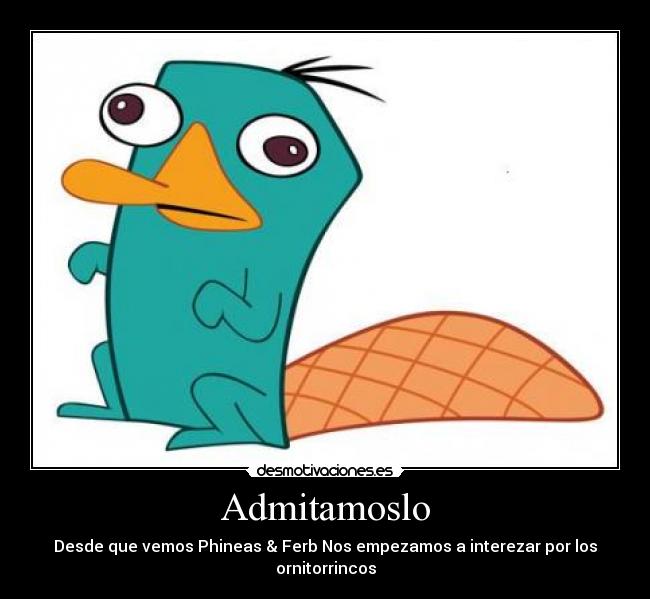 Admitamoslo - Desde que vemos Phineas & Ferb Nos empezamos a interezar por los ornitorrincos