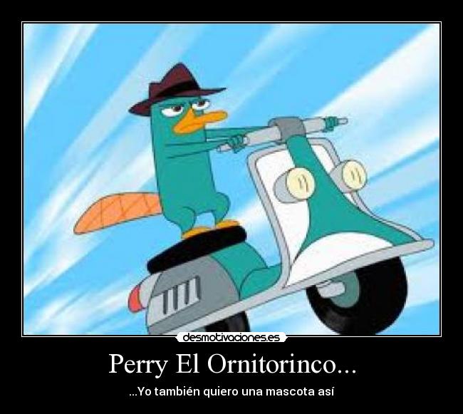 Perry El Ornitorinco... -