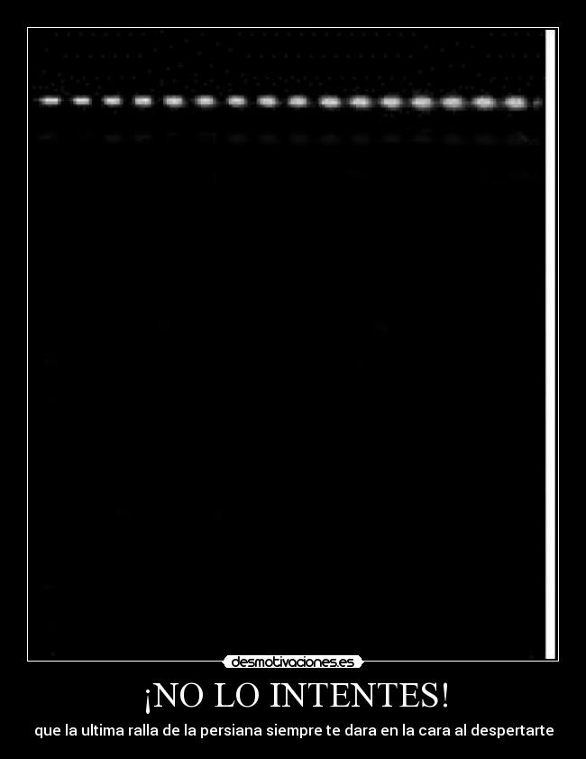 ¡NO LO INTENTES! - que la ultima ralla de la persiana siempre te dara en la cara al despertarte