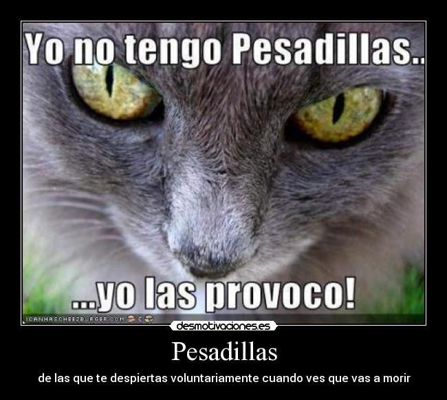 Pesadillas - de las que te despiertas voluntariamente cuando ves que vas a morir
