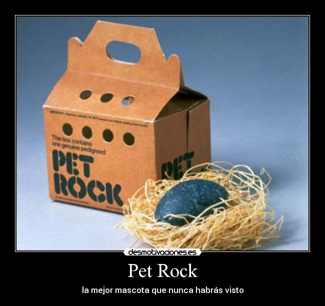 Pet Rock - la mejor mascota que nunca habrás visto