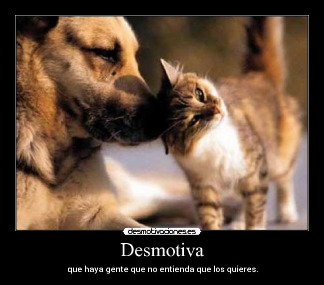 Desmotiva -