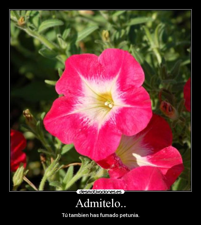 Admitelo.. -