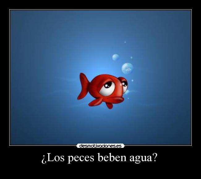 ¿Los peces beben agua? -