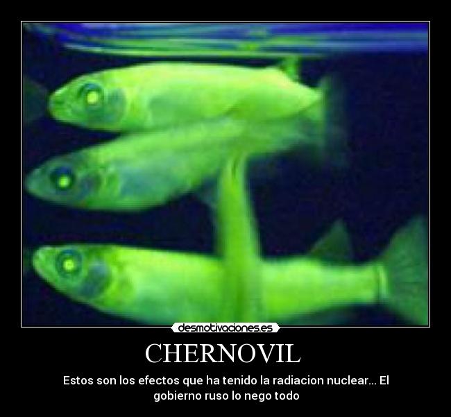 CHERNOVIL -