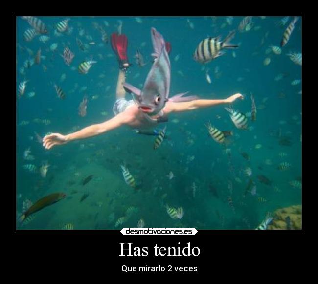 Has tenido -