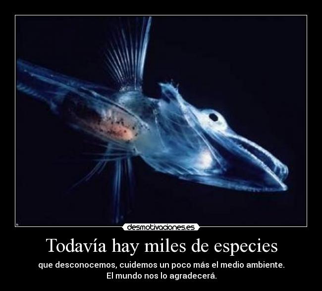 carteles pez hielo especies desconocidas medio ambiente desmotivaciones