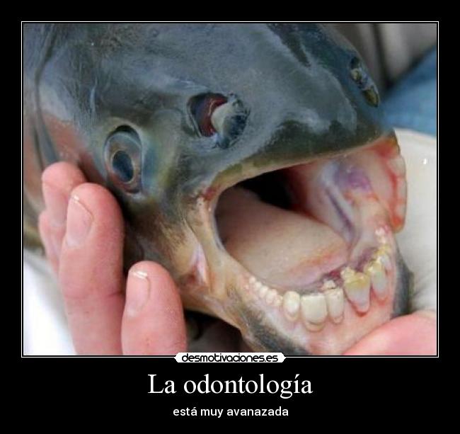 La odontología - 
